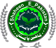 Shaheen E PAK Logo